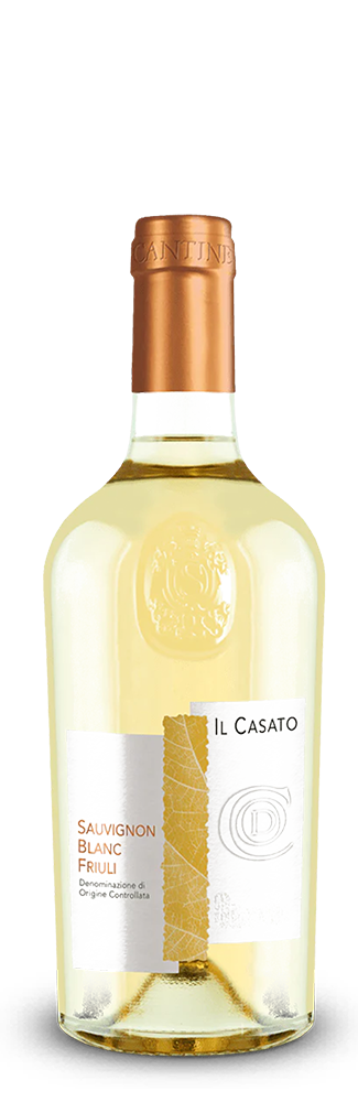 Sauvignon Blanc Friuli 2022