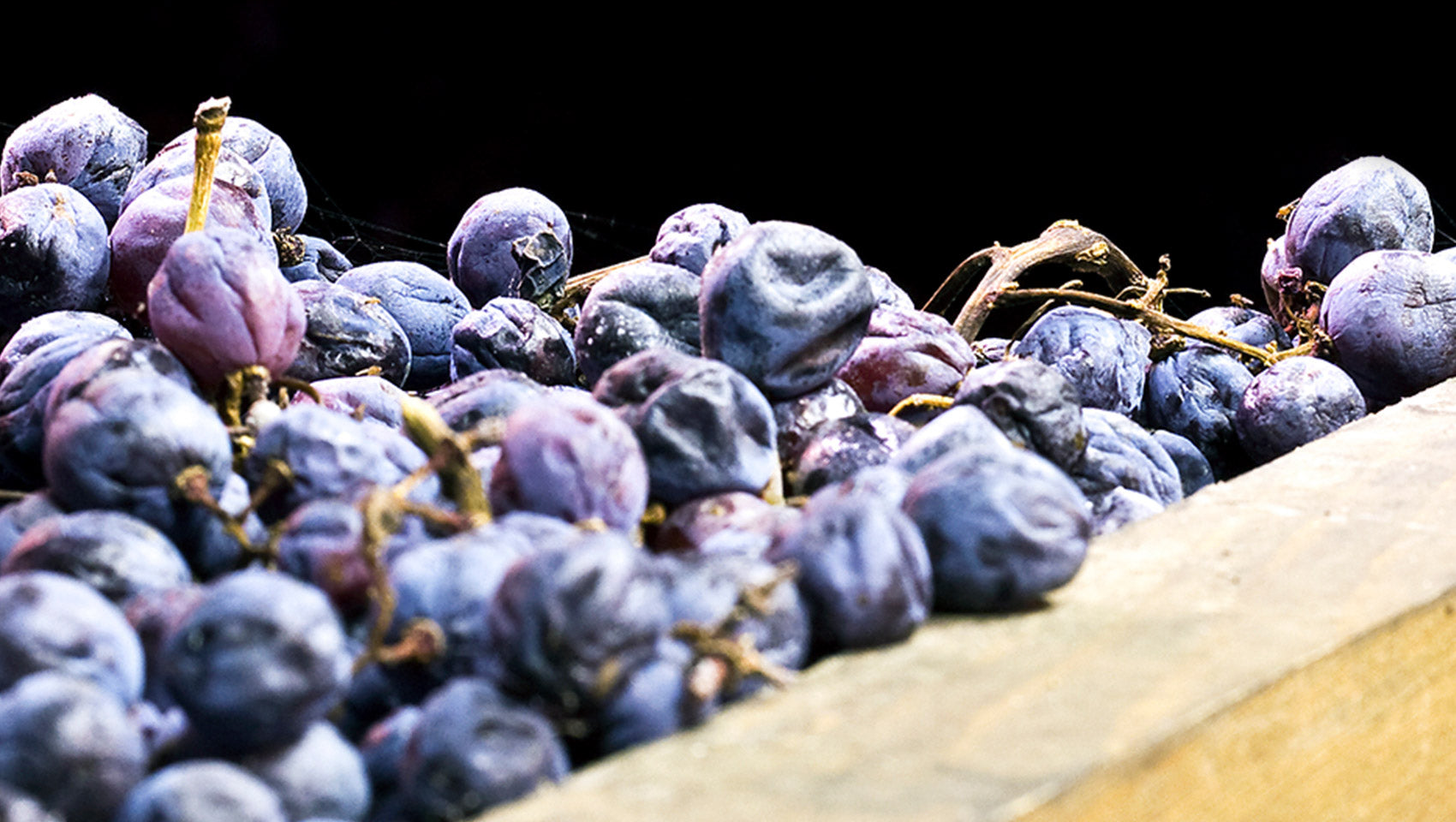 Trendweine Italiens - Amarone, Appassimento & Co.