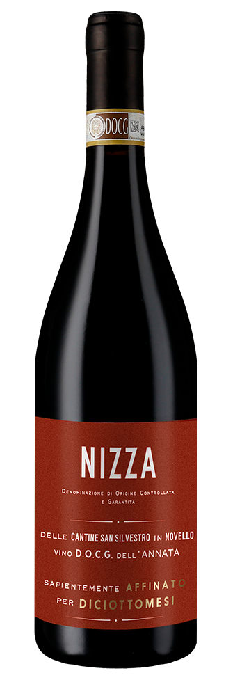 Nizza 2020