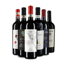 Wine in Black Best of Toskana-Paket