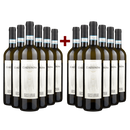 6+6 Flaschen Curtis Nova Pinot Grigio delle Venezie 2020