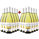 6+6 Flaschen Pecorino Terre di Chieti 2021