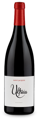 Ultreia Saint Jacques Bierzo 2019