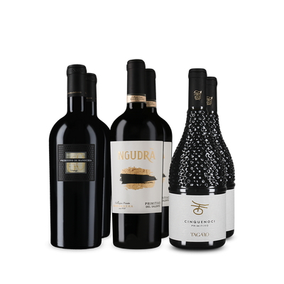 Wine in Black Premium-Primitivo-Paket