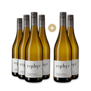4+2 Flaschen Zephyr Sauvignon Blanc Marlborough 2021