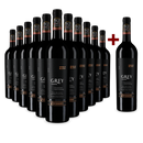 11+1 Flaschen Ventisquero Cabernet Sauvignon ‹Grey› Maipo Valley 2019