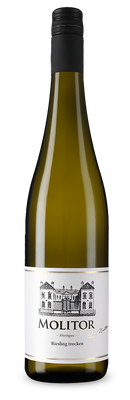 Rheingau Riesling trocken 2022