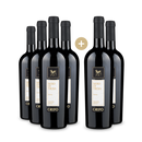 4+2 Cantina di Ruvo di Puglia Nero di Troia Grifo 2021