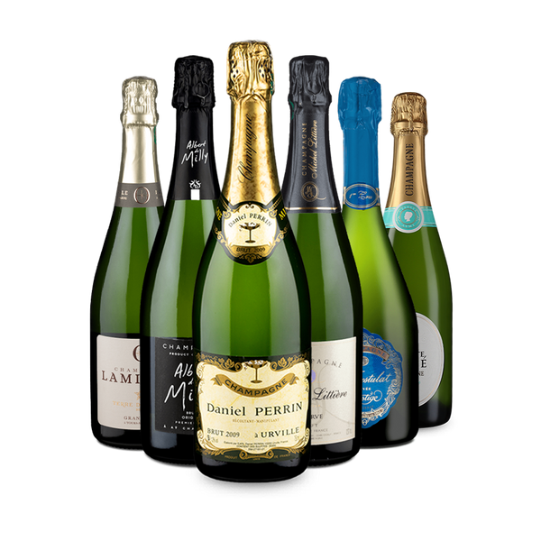 Elegante Champagner im 6er-Paket