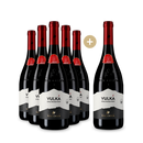 5+1 Nicosia Etna Rosso Vulkà 2020