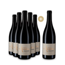 5+1 Flaschen Côtes du Rhône 2022