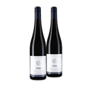 Weingut Türk: Top-Lagen im Entdecker-Duo