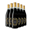 6 Flaschen Amarone della Valpolicella 2020
