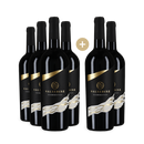 6 Flaschen Salsedine Rosso 2022