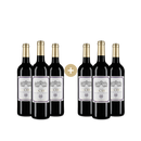 3+3 Flaschen Saint-Émilion Grand Cru 2021