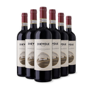 6 Flaschen Chianti Classico Petrignano 2019