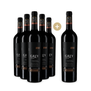 5+1 Flaschen Viña Ventisquero Cabernet Sauvignon Grey Maipo Valley 2020