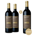 2 Flaschen + gratis Magnum: Pierre Seillan Bellevue Seillan 2011
