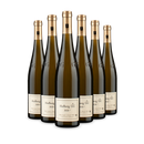 6 Flaschen Hofberg Mosel Riesling VDP.Grosses Gewächs trocken 2020