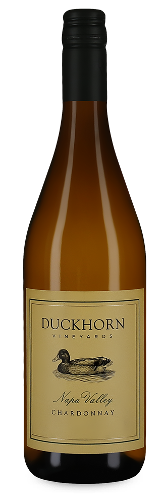 Chardonnay Napa Valley 2022 – persönliche Empfehlung