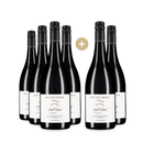 4+2 Reschke Bull Trader Shiraz 2021