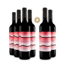 4+2 Flaschen Bodegas Mazas Roble 2021