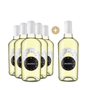5+1 Flaschen Orapiena Pinot Grigio 2023