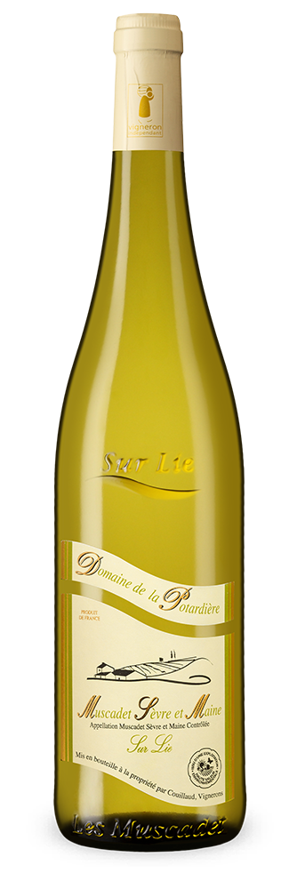 Muscadet Sèvre et Maine sur Lie 2023