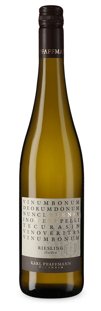 Lebenswerk Riesling trocken 2024 – persönliche Empfehlung