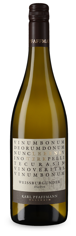 Lebenswerk Weissburgunder trocken 2024 – persönliche Empfehlung