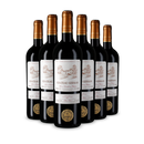 6 Flaschen Castillon Côtes de Bordeaux 2020