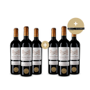 3+3 Flaschen Castillon Côtes de Bordeaux 2020 + Kellnermesser