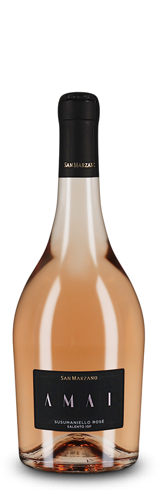 Amai Susumaniello Rose 2024