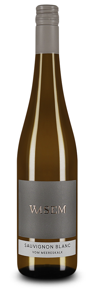 Sauvignon Blanc vom Meereskalk trocken 2024