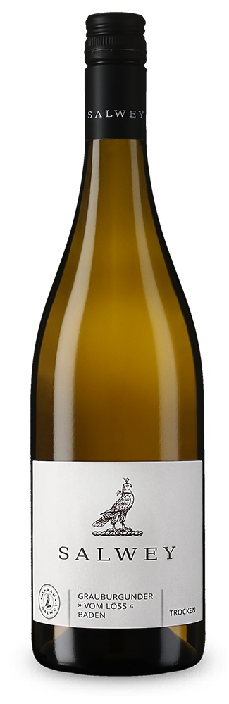 Grauburgunder vom Löss trocken 2024