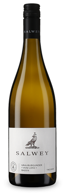 Grauburgunder vom Löss trocken 2024