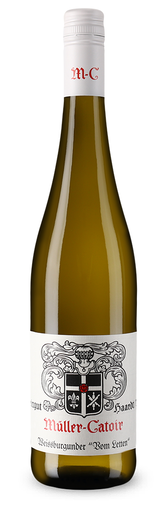 Weissburgunder vom Letten trocken 2024