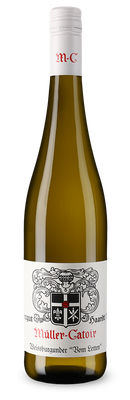 Weissburgunder vom Letten trocken 2024