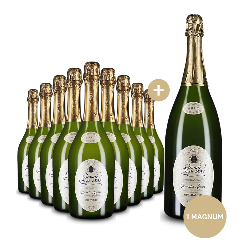 9 Flaschen Aimery Grande Cuvée 1531 + Magnum-Flasche