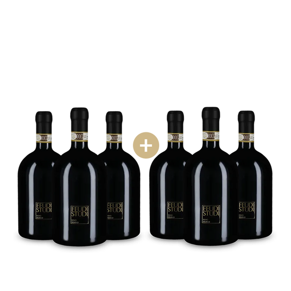 3+3 Flaschen Feudi Studi Fievo Taurasi 2018