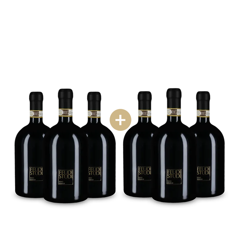 3+3 Flaschen Feudi Studi Fievo Taurasi 2018