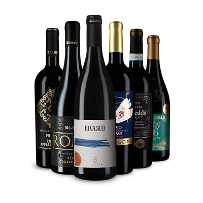 Unsere Rotwein-Tipps zum Fondue