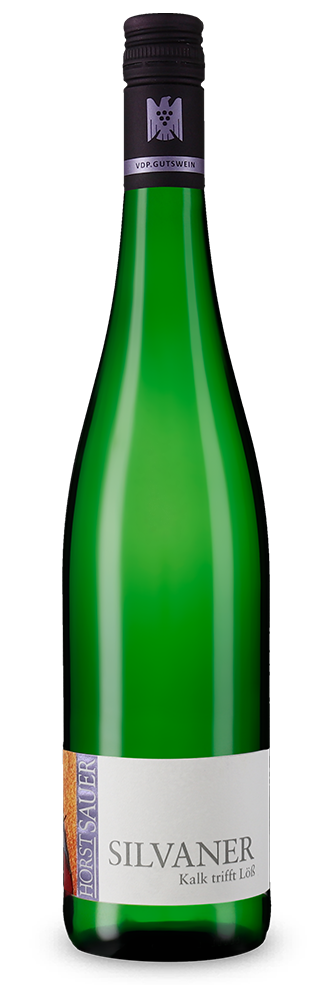 Silvaner Kalk trifft Löss trocken 2025