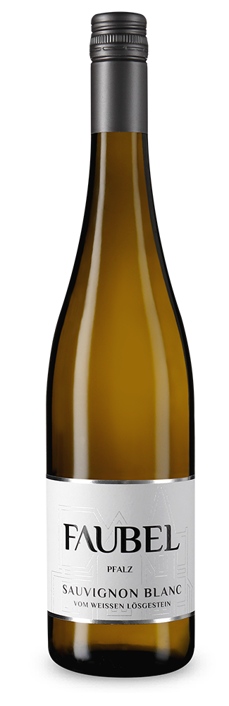 Sauvignon Blanc vom weissen Lössgestein trocken 2025