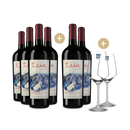 4+2 Flaschen Cabernet Sauvignon & Cabernet Franc Teia Mendoza 2023 + 2 Weingläser