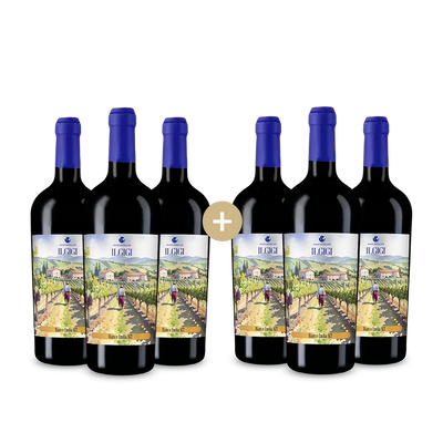 3+3 Flaschen Il Gigi Bianco Emilia Romagna 2024