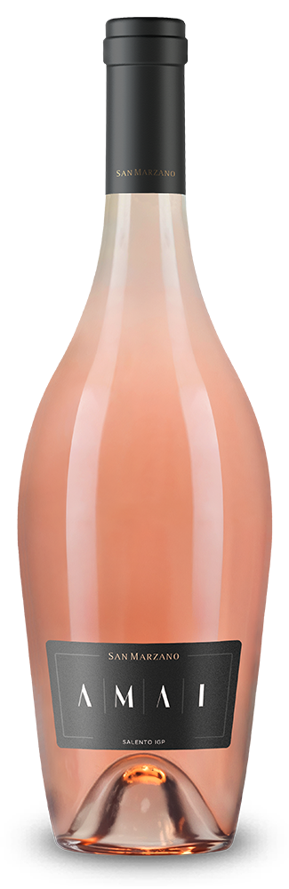 Amai Susumaniello Rose 2025