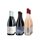 Platin + 97 Decanter-Punkte: 3x2 Gewinnerweine im Set