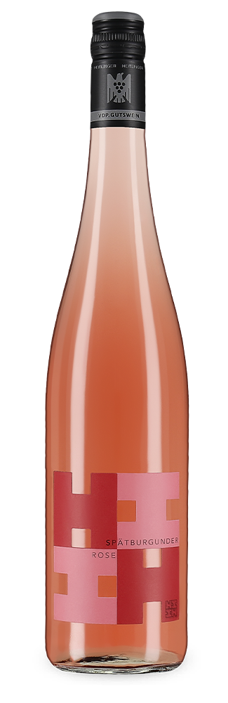 Rosé trocken 2025