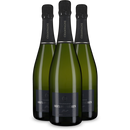 3 Flaschen Champagne Brut